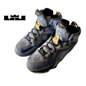 Nike LeBron 12 Trainers Flight Pack 685181-080 Metallic Grey US 6.5Y Sneakers